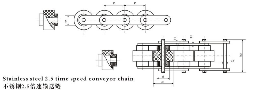 1651109727466904.jpg 不銹鋼倍速輸送鏈 Stainless steel speed—fold conveyor chain-1.jpg